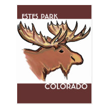 Estes Park Colorado brown moose postcard