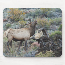 Estes Park ELK Mouse Pads