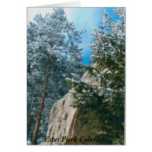 ESTES PARK GREETING CARD