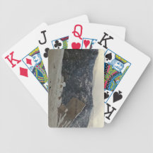 Estes Park Playing Cards