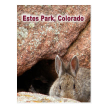 Estes Park Wilderness Post Card
