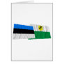 Estonia and Põlva Waving Flags