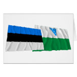 Estonia and Valga Waving Flags
