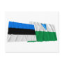 Estonia and Valga Waving Flags