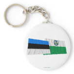 Estonia and Viljandi Waving Flags
