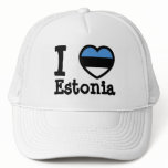 Estonia Flag Mesh Hat