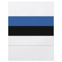 Estonia National Flag Full Color Flyer