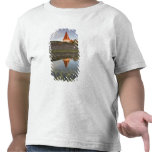 Estonia, Western Estonia Islands, Saaremaa T-shirts