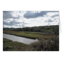 Estuary of Morro Bay from South Bay Blvd. Card