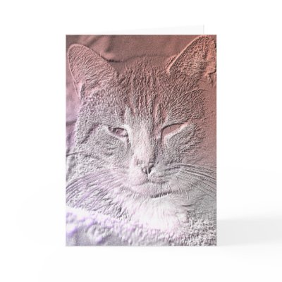 Etched Kitten Greeting Card by AVGPhoto