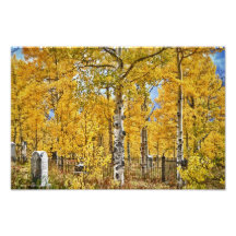 Eternal Autumn Resting Place Photographic Print