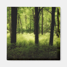 Ethereal Summer Woods Refrigerator Magnet