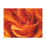 Étincelles de KIW : Un rose comme une flamme Impression Sur Toile