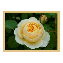 Étiquette II de cadeau de Charlotte Carte De Visite