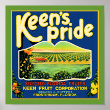 Étiquette incongelable de la Floride de fierté dés Posters
