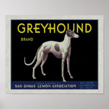 Étiquette vintage de citron de lévrier Circa 1920 Posters