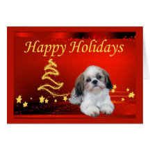 Étoiles de carte de Noël de Shih Tzu