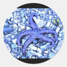 étoiles de mer adhésifs ronds