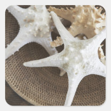 Étoiles de mer dans un panier autocollants