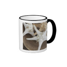 Étoiles de mer dans un panier mug