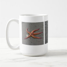 Étoiles de mer de pose drôles tasse à café