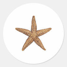 Étoiles de mer - étoile de mer du nord autocollants