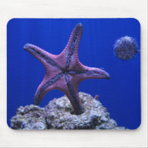 Étoiles de mer, étoile lumineuse ! tapis de souris