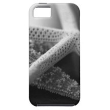 Étoiles de mer mono coque iPhone 5