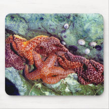 Étoiles de mer Mousepad Tapis De Souris