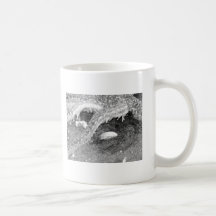 Étoiles de mer noires et blanches tasse