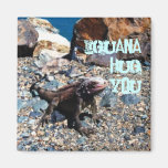 Étreinte d'iguane vous aimant