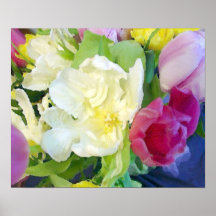 Étude 3 de tulipes d'aquarelle affiche