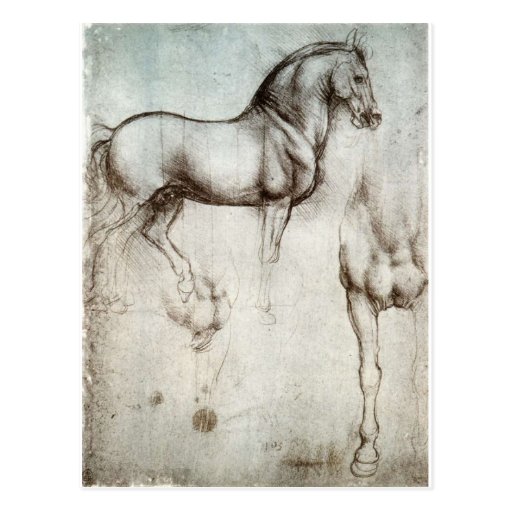 Étude de cheval carte postale