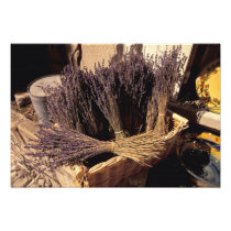 EU, France, Provence, Bouches, du, Rhone, Les 2