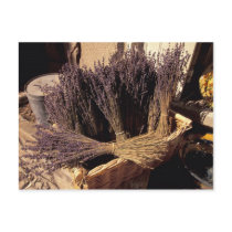 EU, France, Provence, Bouches, du, Rhone, Les Post Card