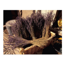 EU, France, Provence, Bouches, du, Rhone, Les Post Card