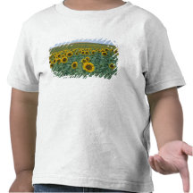 EU, France, Provence, Sunflower field T-shirts