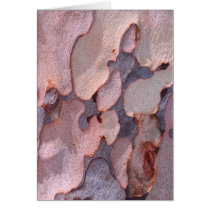 Eucalyptus Bark Greeting Card