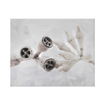 Eucalyptus capsules stretched canvas prints