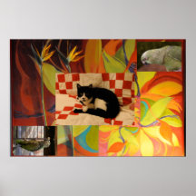 Euclid's Dream Print