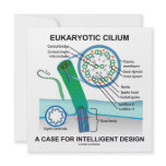 Eukaryotic Cilium A Case For Intelligent Design Invite