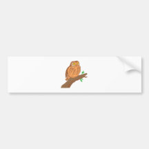 Eule Kauz Sägekauz Saw-whet owl Autoaufkleber