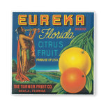 Eureka Brand Florida Citrus Fruit Fridge Magnets