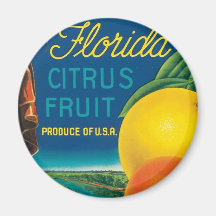 Eureka Brand Florida Citrus Fruit Refrigerator Magnet