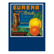 Eureka Brand Florida Citrus Fruit Post Card