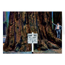 Eureka California Humboldt Redwood State Park Card