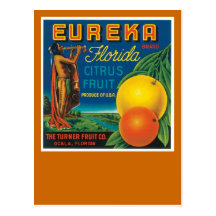 Eureka Florida Citrus Fruit Postcard