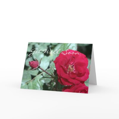 Europa Rose Card by cherylarogers