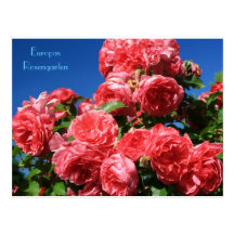 Europas Rosengarten Postcard