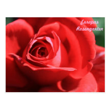 Europas Rosengarten Postcards